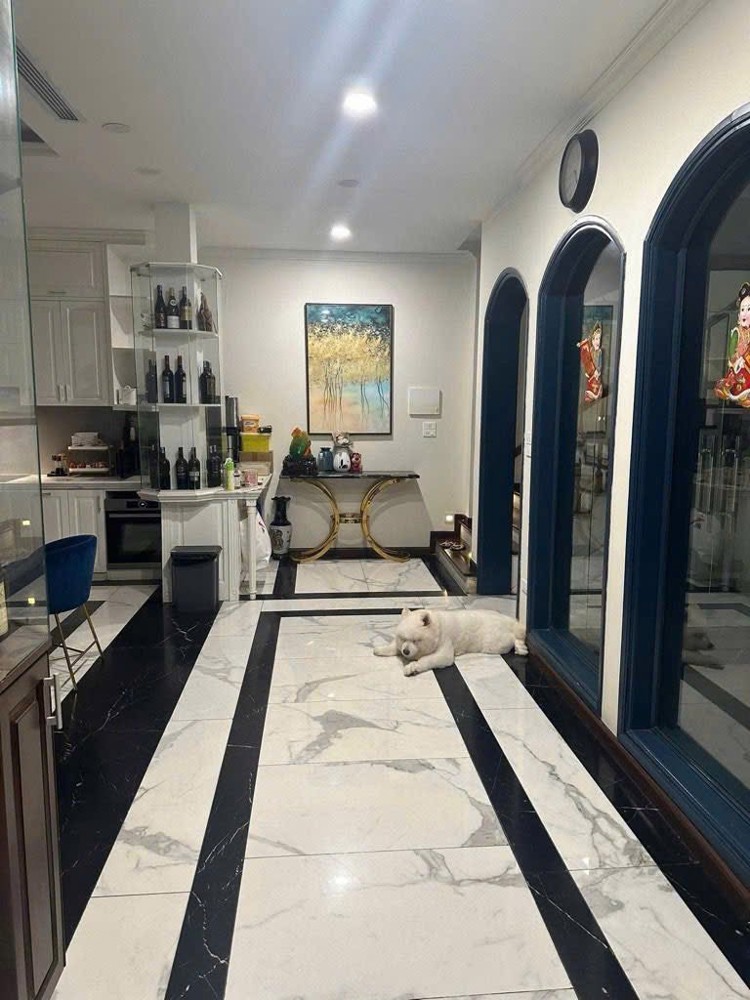 Phố Vip- Mặt Tiền Khủng -Hoa Hậu Tây Hồ Phố Nguyễn Đình Thi 92M 4T Giá 82 Tỷ , Thông -Giá Tốt- Vận