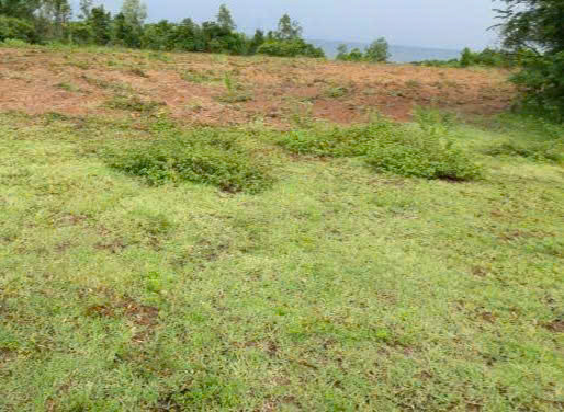 Bán Đất Biển Diện Tích Lớn – Cơ Hội Đầu Tư Hiếm