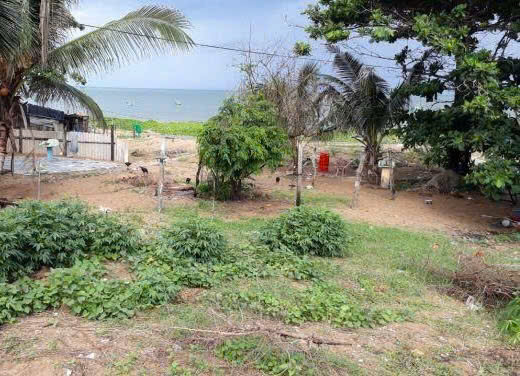 Bán Đất Biển Diện Tích Lớn – Cơ Hội Đầu Tư Hiếm