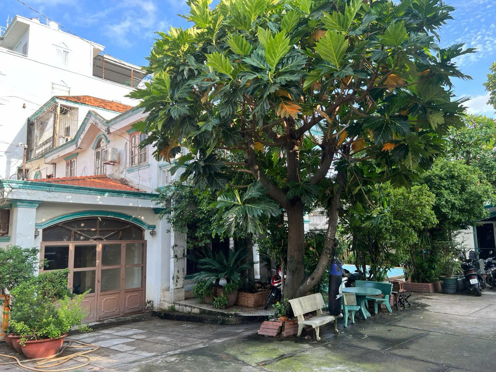 Siêu Biệt Thự + Quỹ Đất 1.090M² – Giảm Sốc 20 Tỷ – Ngay Nguyễn Văn Quá