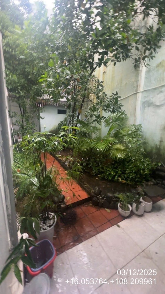 ► Mt Nguyễn Tri Phương 252M2, Ngang 7.3M Chỉ 103Tr/m2 2 Căn Nhà Sổ Riêng