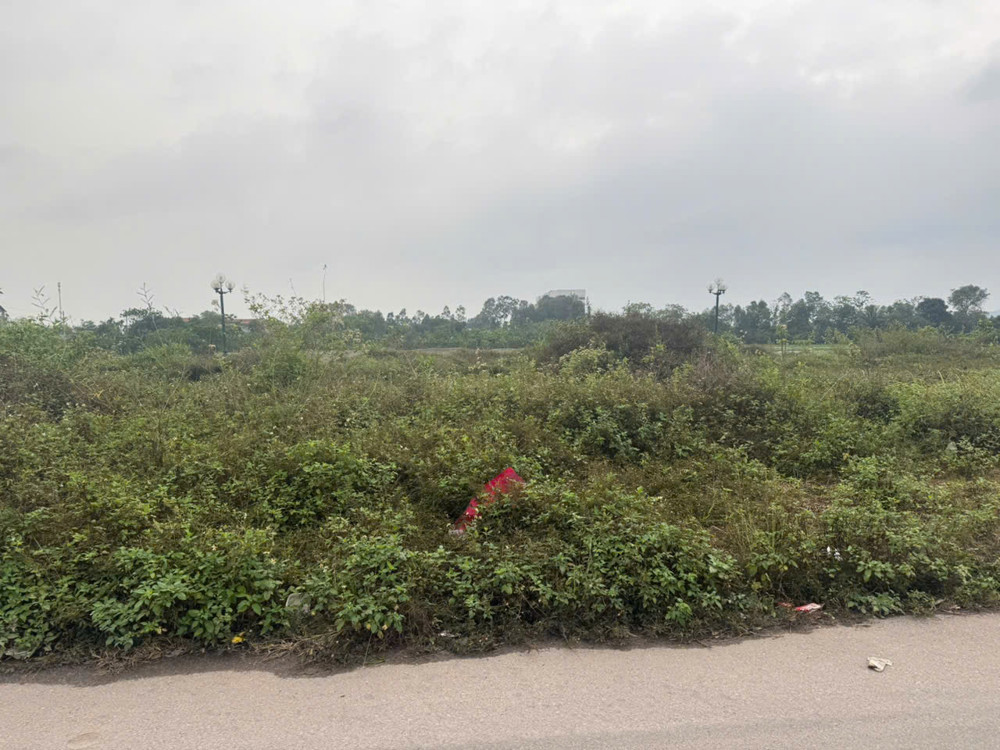 Chính Chủ Chuyển Nhượng Biệt Thự Bt2-10 – 280M²