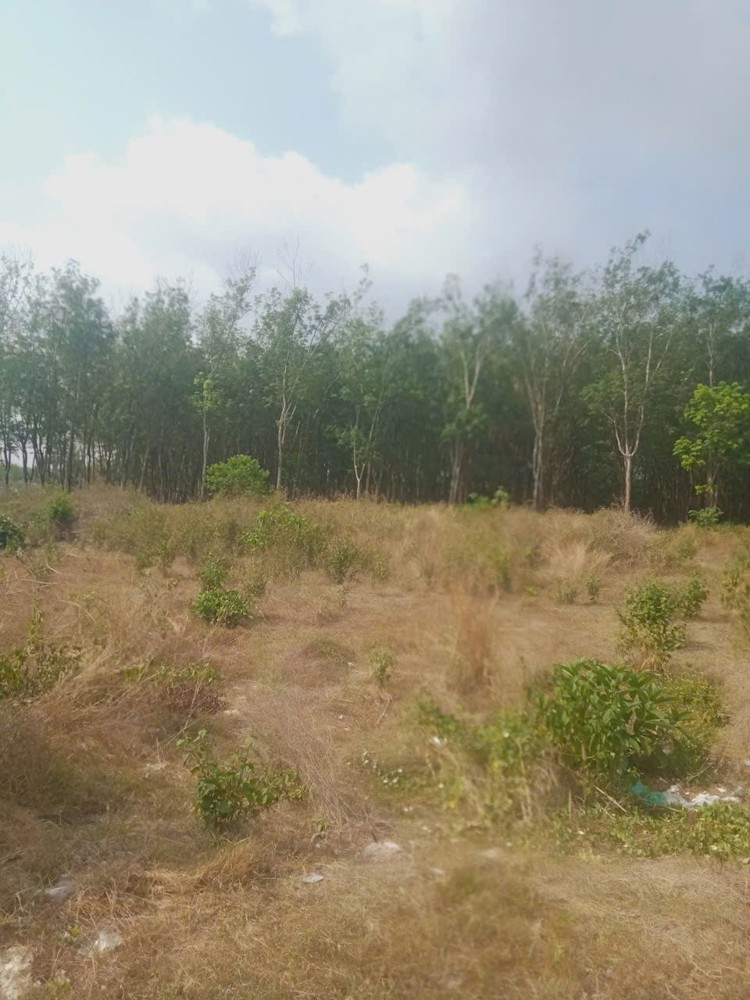 Đất Đẹp Giá Tốt – Chính Chủ Cần Bán 3 Lô Đất Liền Kề Thôn 7, Xã Long Bình, H. Phú Riềng, Bình Phước