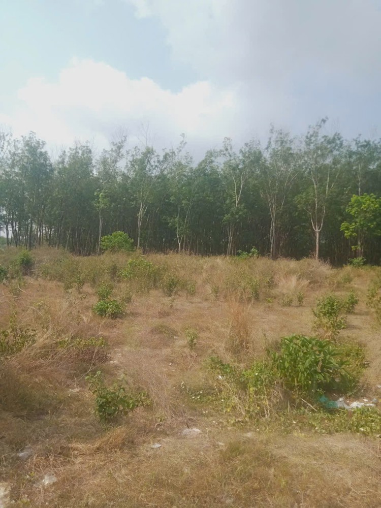 Đất Đẹp Giá Tốt – Chính Chủ Cần Bán 3 Lô Đất Liền Kề Thôn 7, Xã Long Bình, H. Phú Riềng, Bình Phước