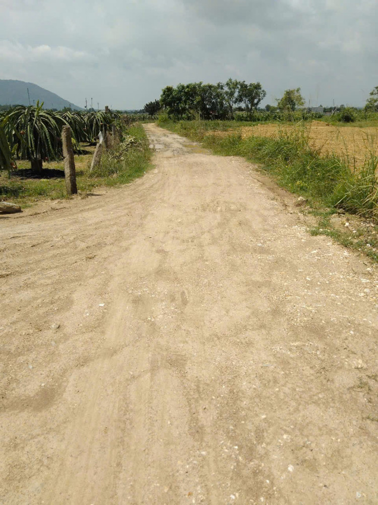 Bán Đất Nông Nghiệp Diện Tích Lớn Gần 10Ha Tại Tân Lập – Hàm Thuận Nam