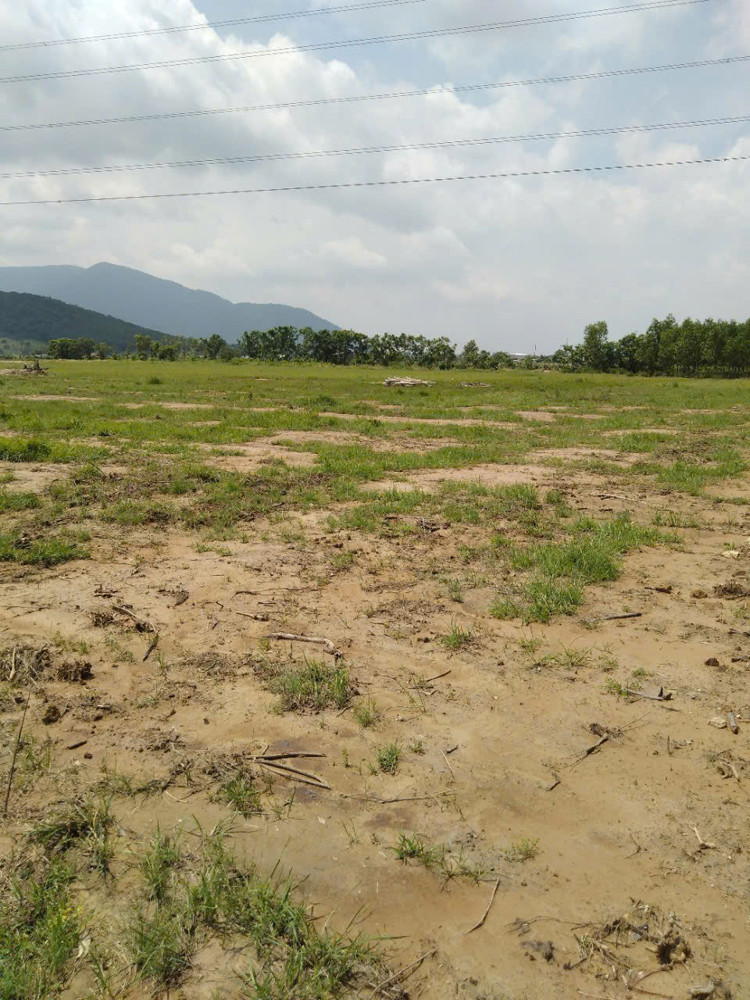 Bán Đất Nông Nghiệp Diện Tích Lớn Gần 10Ha Tại Tân Lập – Hàm Thuận Nam