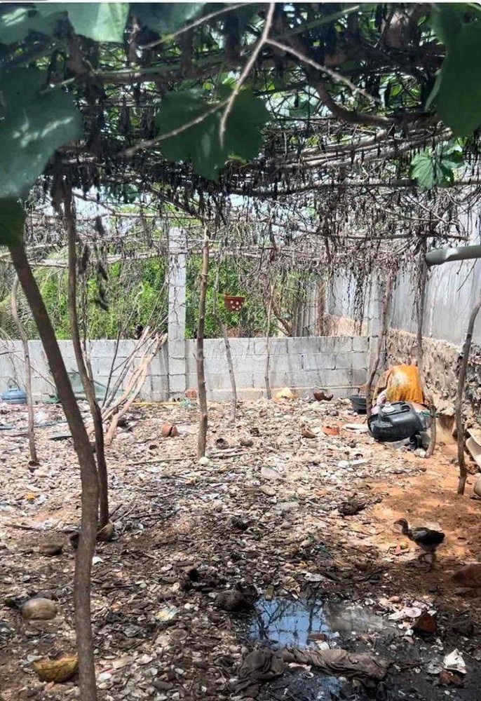 Đất Đẹp – Giá Tốt – Chính Chủ Cần Bán Gấp Tại Xã Hòa Thắng, Huyện Bắc Bình, Bình Thuận