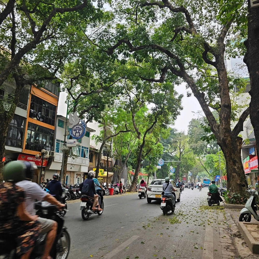 Phan Đình Phùng –Bán Nhà 5 Tầng – 50M² – 17.5 Tỷ Ba Đình