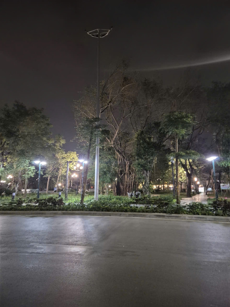 Khi Lá Phổi Xanh Trở Thành View Triệu Đô Cho Việc Kd Của Bạn