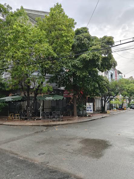 Bán Nhà Mặt Tiền 4 Tầng 6X18m Giá 10.69 Tỷ Đường 10M Khu K82 Tô Ký