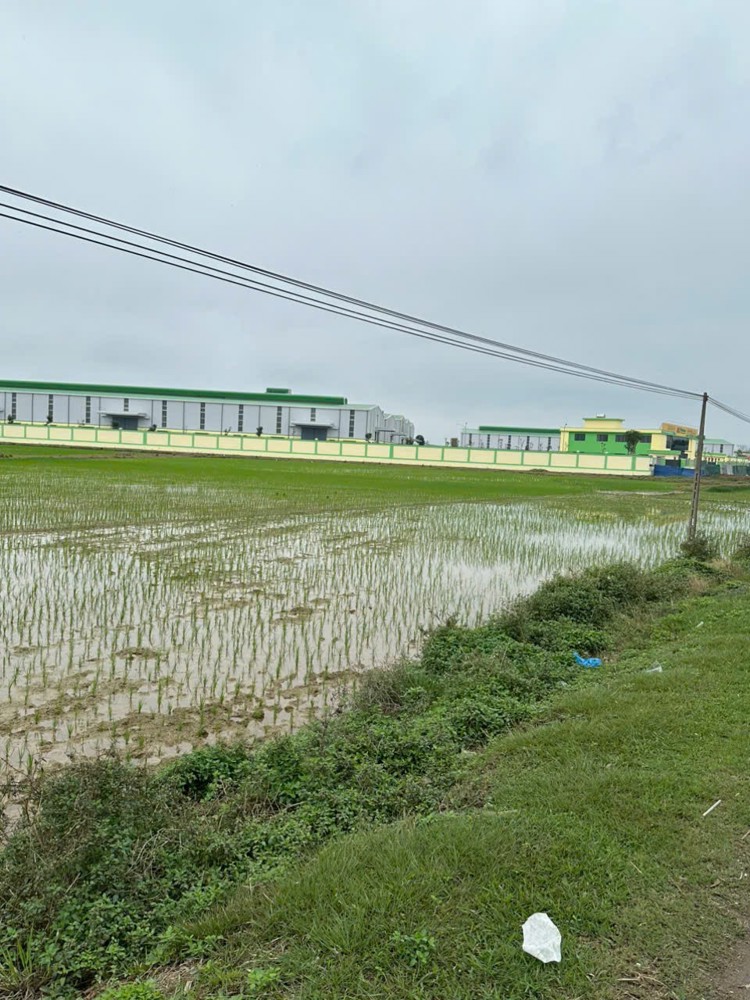 Đất Đẹp Giá Tốt –Chính Chủ Cần Bán Đất Ql47 – Xã Dân Quyền, Huyện Triệu Sơn, Thanh Hóa