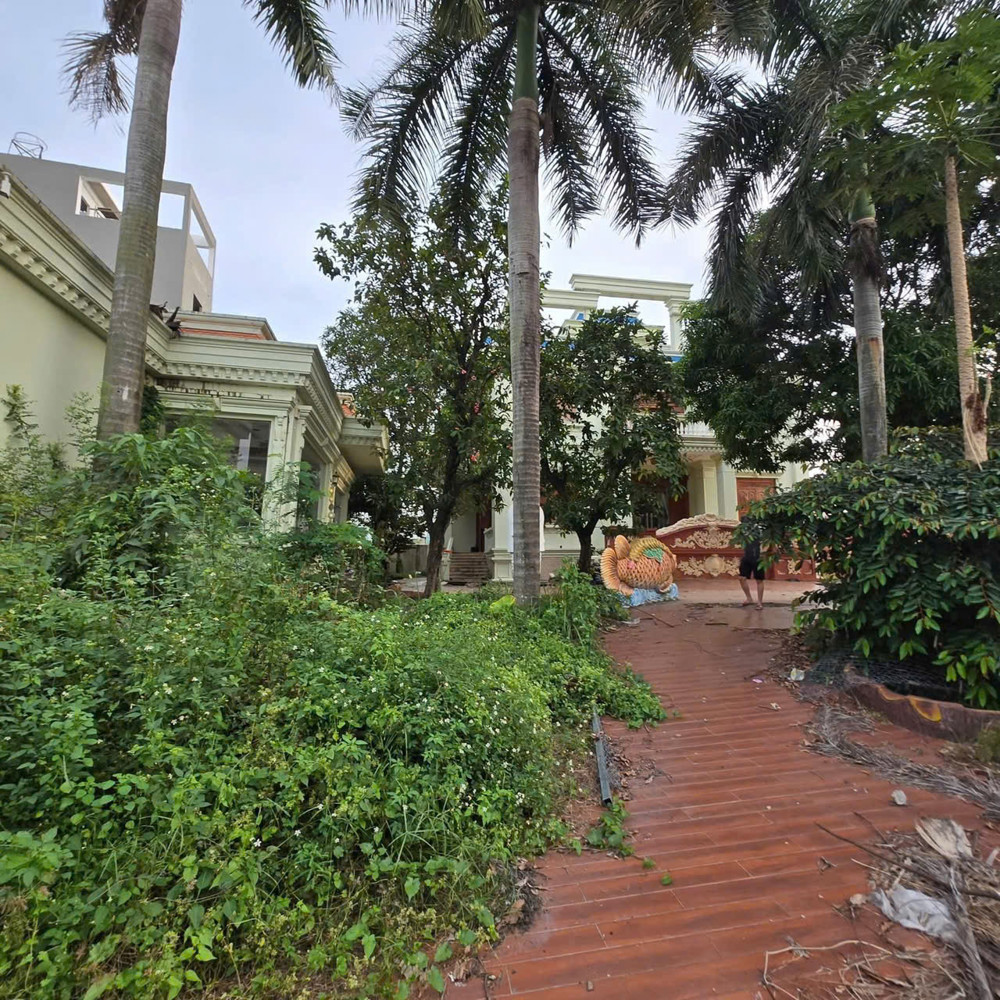 Biệt Thự Sân Vườn Thạnh Lộc 37 – 732M² – 7Pn – Chỉ 28.98 Tỷ Tl Mạnh