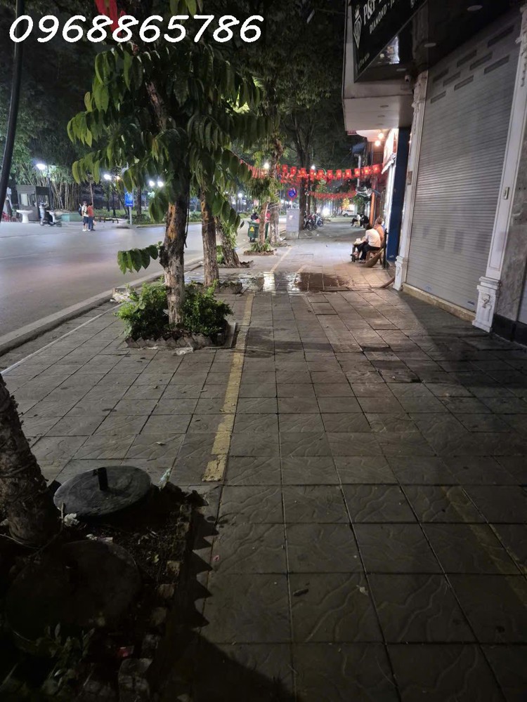 Câu Chuyện Căn Nhà Nở Hậu Công Năng Tại Mặt Phố Võ Thị Sáu