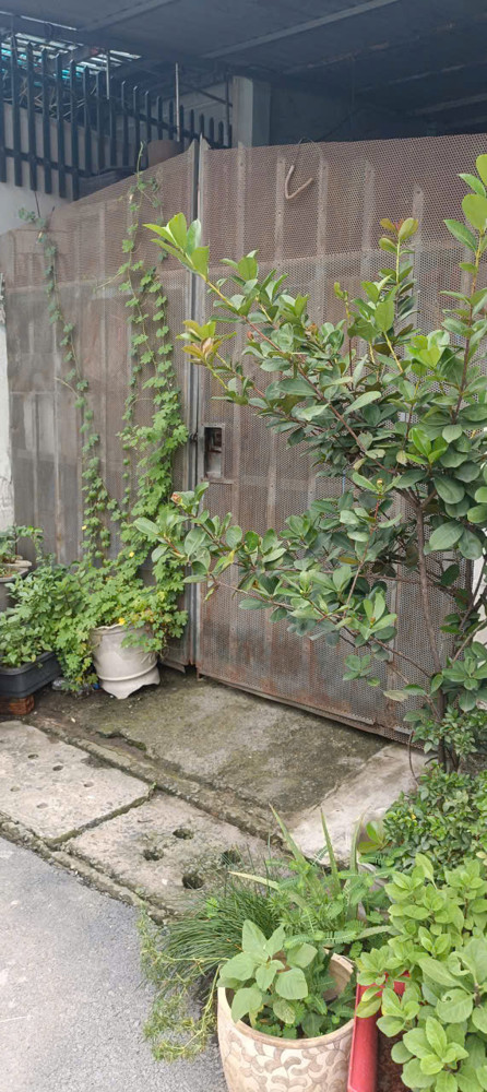 Chính Chủ Bán Nhanh Nhà Đang Ở Cấp 4, Mặt Tiền Đường 6 Kp 3, Phường Trường Thạnh( Cũ), Tp Thủ Đức