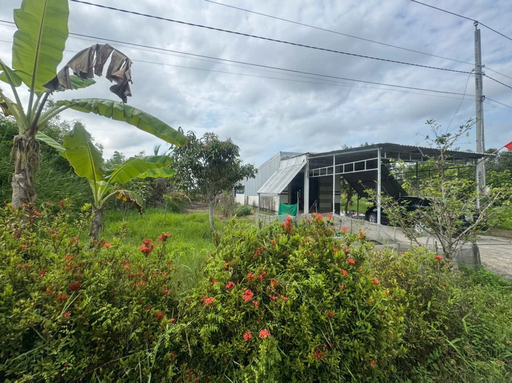 Bán 15000M2 Đất Nông Nghiệp Có Sẵn Nhà Phù Hợp Nghỉ Dưỡng Xã Khánh An, U Minh, Cà Mau