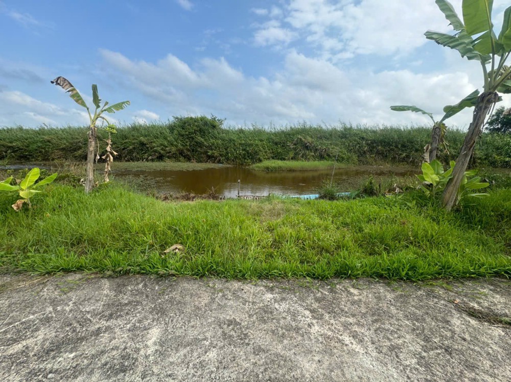 Bán 15000M2 Đất Nông Nghiệp Có Sẵn Nhà Phù Hợp Nghỉ Dưỡng Xã Khánh An, U Minh, Cà Mau