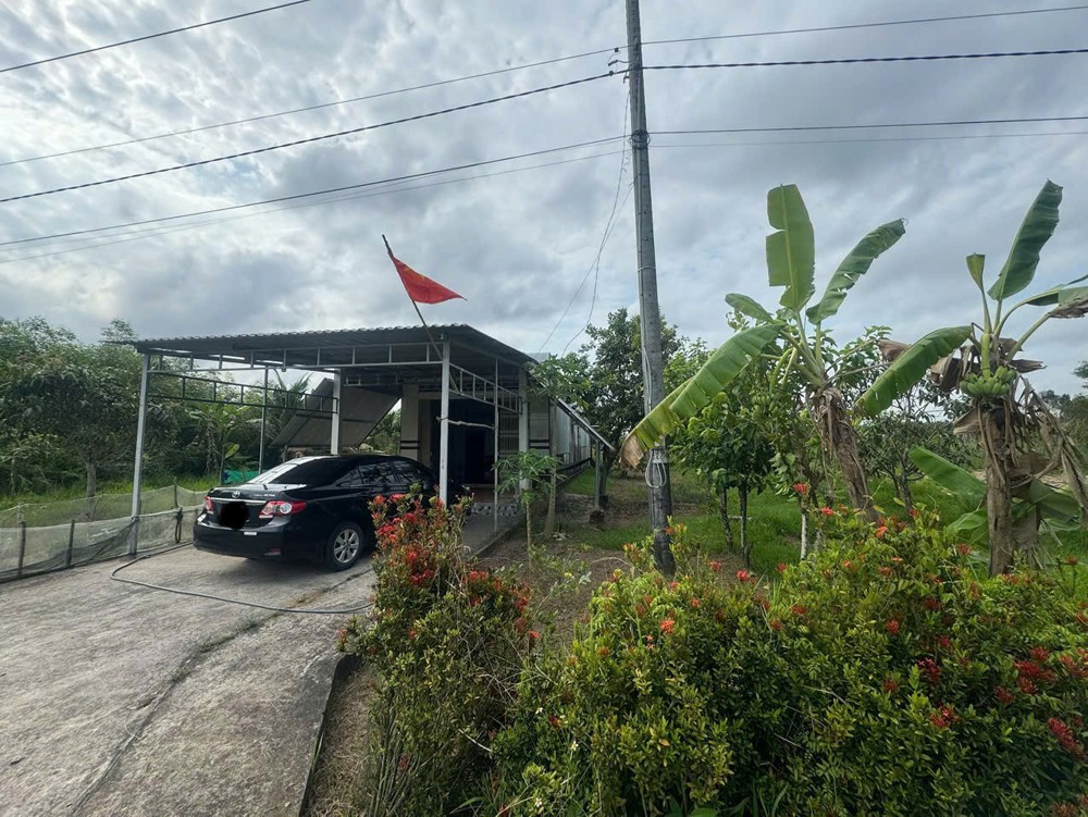 Bán 15000M2 Đất Nông Nghiệp Có Sẵn Nhà Phù Hợp Nghỉ Dưỡng Xã Khánh An, U Minh, Cà Mau