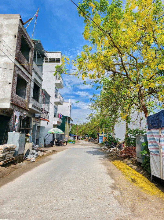 Bán Đất Đấu Giá Đại Áng(ngọc Hồi) . Giá Hơn 8 Tỷ