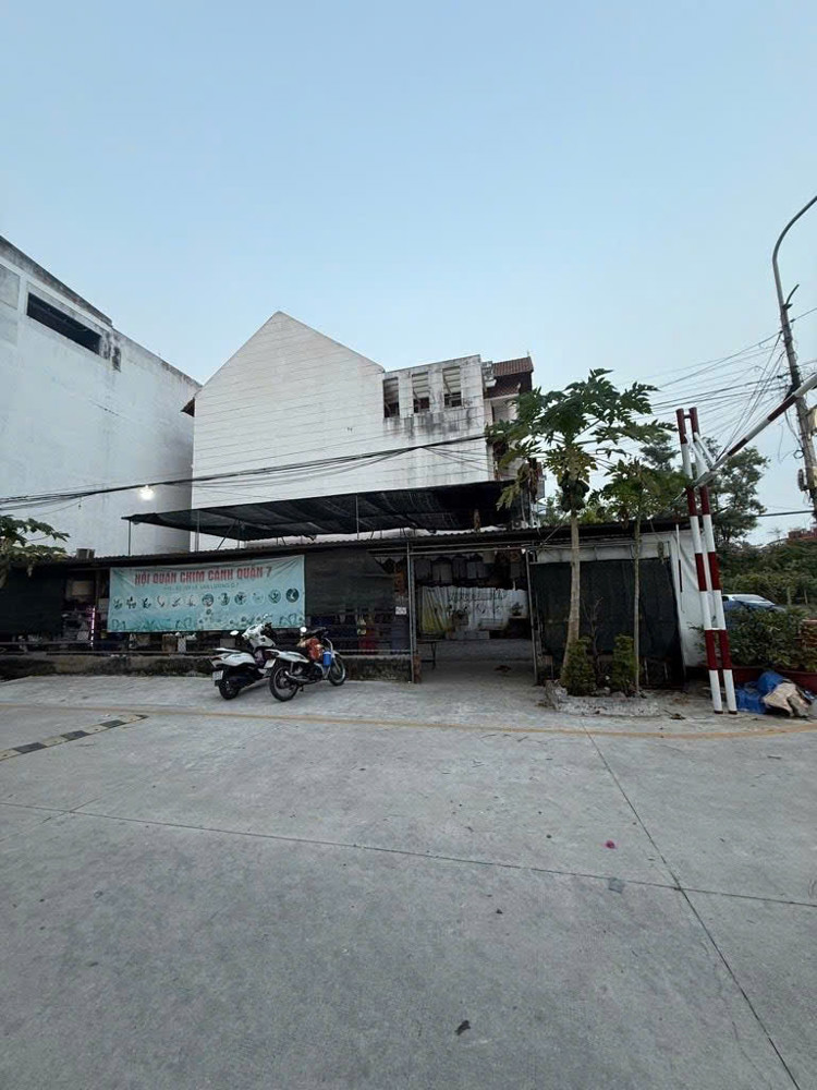 Quận 7, Hiếm, Căn Góc 10 X21m, Chỉ 29 Tỷ, Đường Lê Văn Lương, P Tân Hưng, Bán Gấp