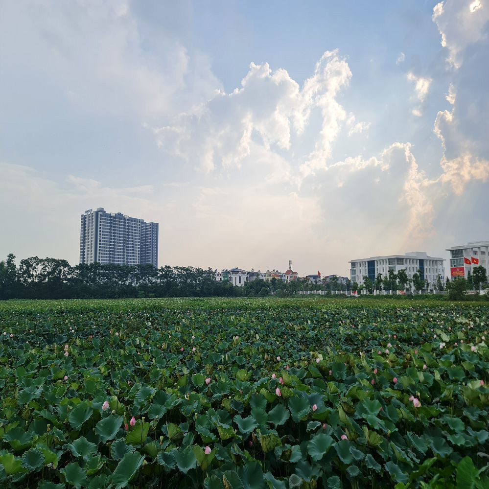 Chính Chủ Cần Bán Gấp Lô Đất Tại Khu Tđc Trâu Quỳ, Gia Lâm, Hà Nội. Lh 0989894845