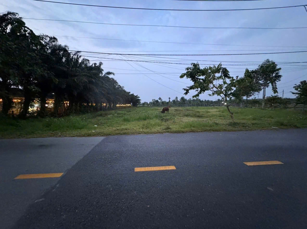 Đất 2 Mặt Tiền Võ Văn Điều, Trung Lập Thượng, Cc – 2.750M² – Chỉ 7,3Tr/m²