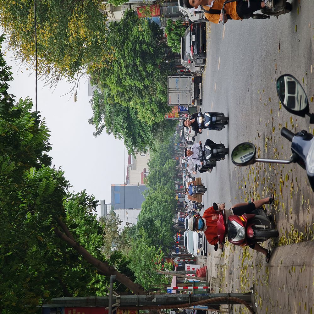 90M2 Mt 5M Đường 4M Gần Chợ Sv Nông Nghiệp, Trâu Quỳ. Chỉ 12 Tỷ X Tiểu Học. Lh 0989894845