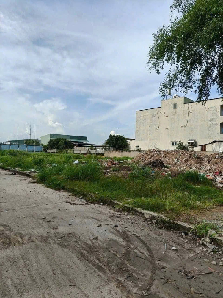 Siêu Vị Trí – (33X77) Mt Nguyễn Văn Bứa – Dt 2.500M² – Giá Chỉ 11,5Tr/m²