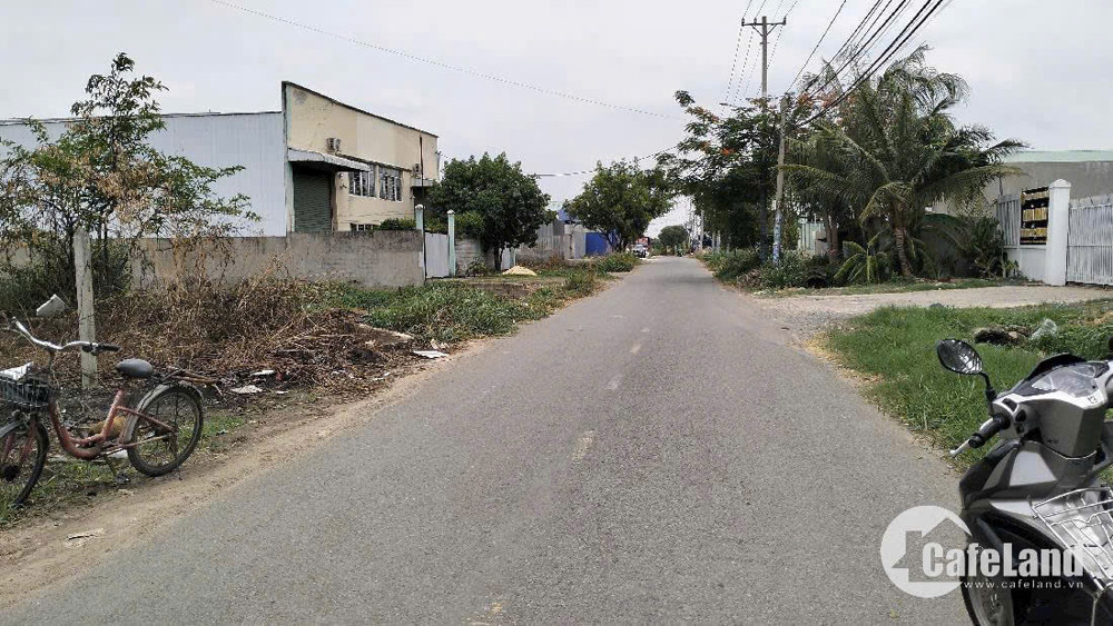 Xưởng 2 Mặt Tiền Xuân Thới Sơn – 20X40m – Full Thổ Cư – Giá Chỉ 25 Tỷ