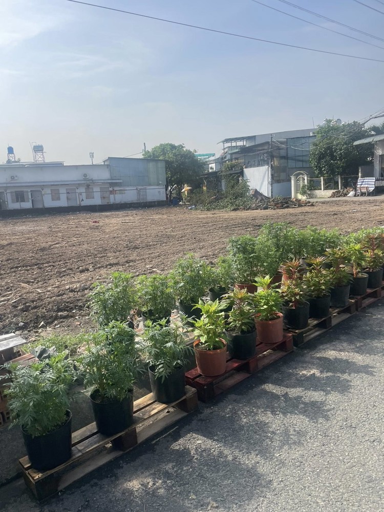 Bán Đất Mặ Đường 5X24m Giá 3,65 Tỷ Đường Nhựa 6M Đông Thạnh 7-3