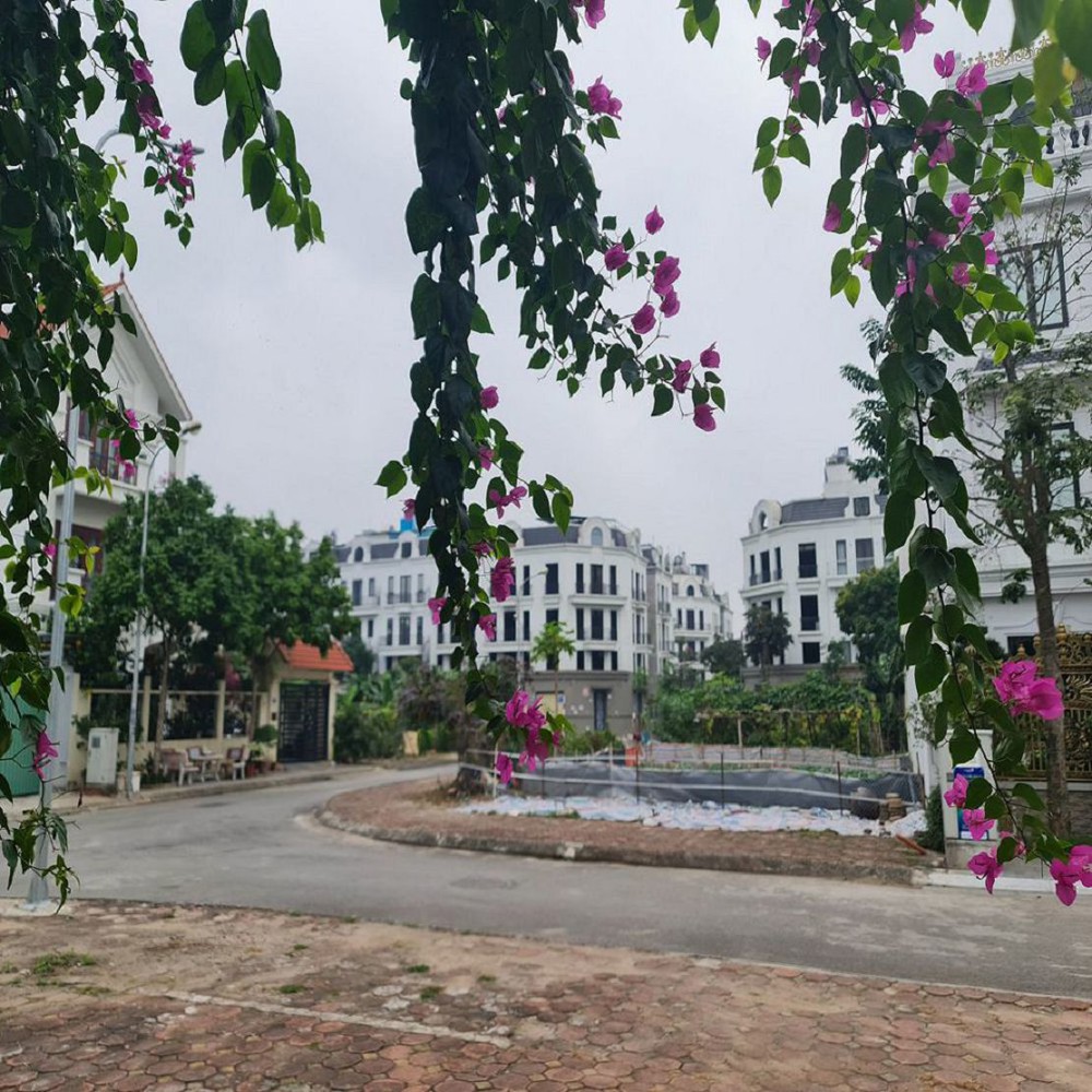 31M2 Tđc Trâu Quỳ Gia Lâm Đường 13M Giá 6 Tỷ X Đầu Tư Tốt 0989894845