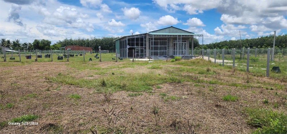 Đất Đẹp - Đầu Tư Sinh Lời - Chính Chủ Bán Đất Tại Xã Hảo Đước, Châu Thành, Tây Ninh