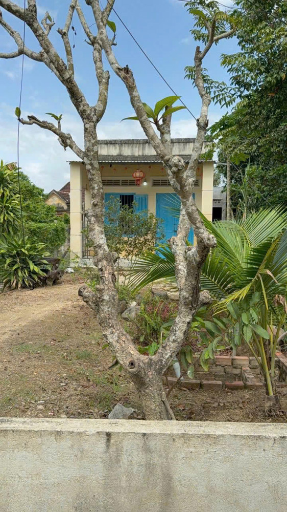 Chính Chủ Bán Gấp Đất Nền , Giá Tốt Tại Xã Diên Thọ , Diên Khánh, Khánh Hòa