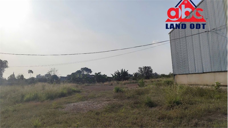 Xn195 Cho Thuê Xưởng Sản Xuất Khung Thép Tiền Chế, Trống Xưởng Sẵn Sàn Bàn Giao Liền