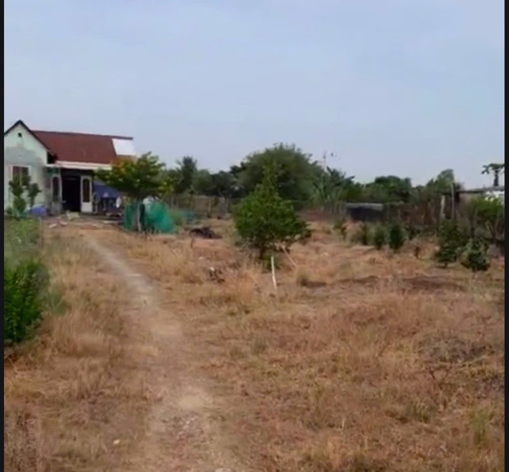 Bán Đất Thổ Vườn Đường Lộ Dừa Giá 5,3 Tỷ