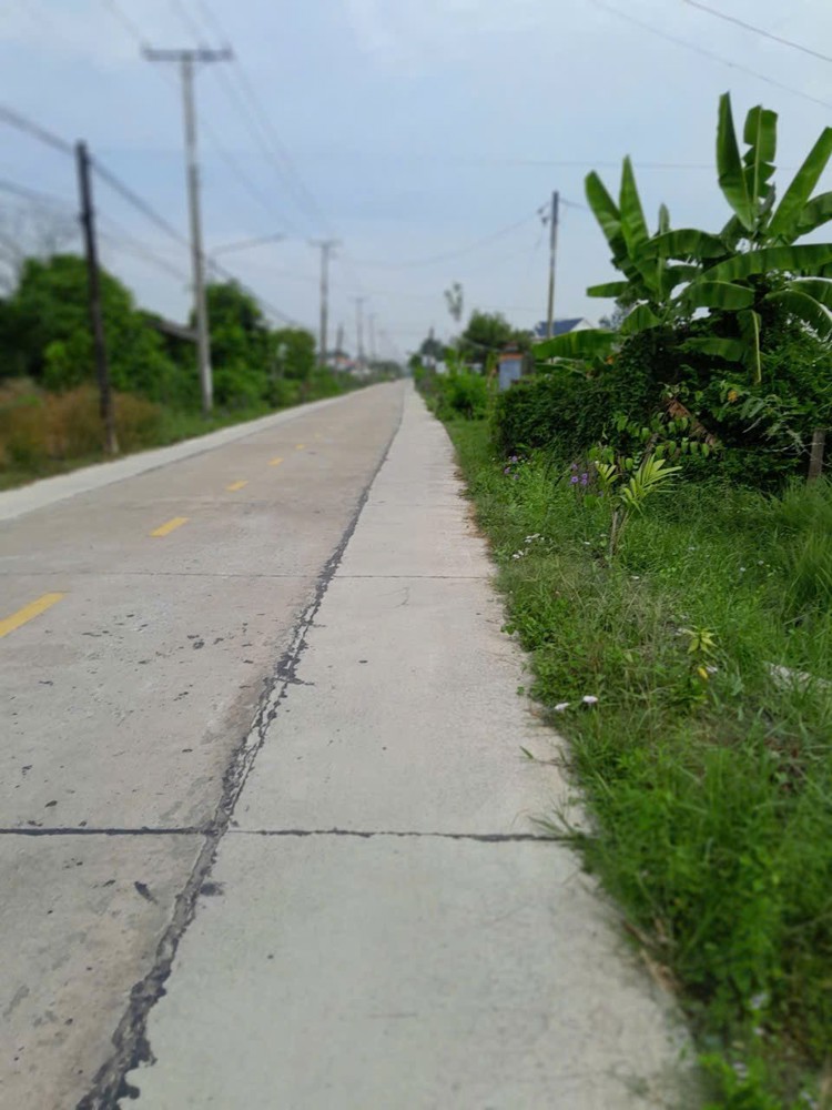 Bán Đất Thổ Vườn Đường Lộ Dừa Giá 5,3 Tỷ