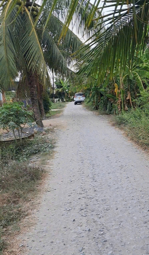Chính Chủ Bán Đất Thổ Cư Gần Lộ Dừa – Vĩnh Công, Châu Thành, Long An