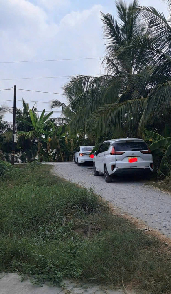 Chính Chủ Bán Đất Thổ Cư Gần Lộ Dừa – Vĩnh Công, Châu Thành, Long An