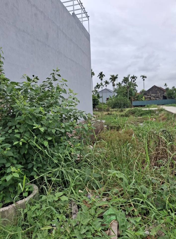 Bán Đất Mặt Đường Hàng Tổng – Hải An – 169M² – Kinh Doanh Tốt – Giá 4,7 Tỷ