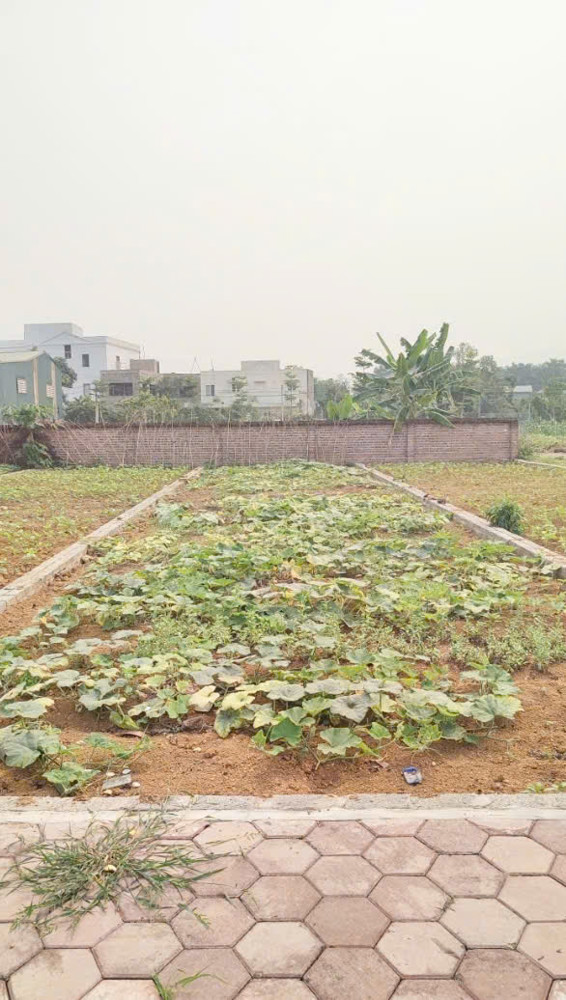 Gia Đình Cần Bán Thửa Đất 100M2 Cạnh Hồ Sinh Thái Thoáng Mát