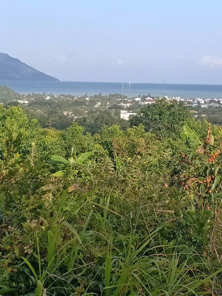 Bán Nhanh 2 Lô Đất Vĩnh Lương Giá : 250.000₫/ 1M