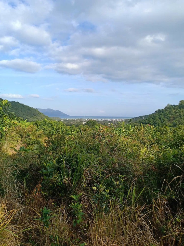 Bán Nhanh 2 Lô Đất Vĩnh Lương Giá : 250.000₫/ 1M