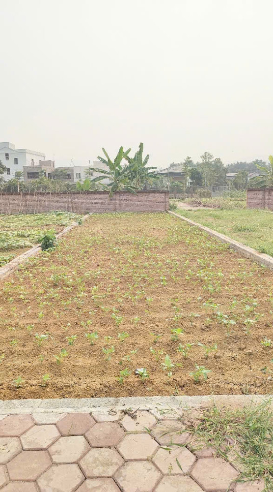 Bán Nhanh Mảnh Đất 100M2 Ven Hồ Sinh Thái Đón Sóng Metro Số 5