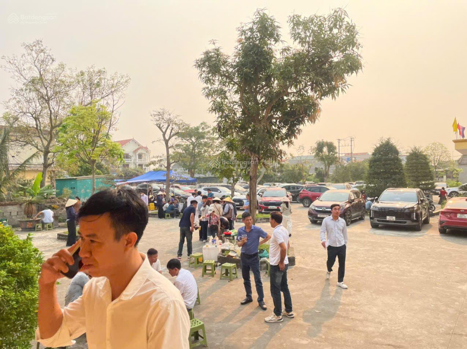 97 Lô Đất Kdc Tân Hóa Quỳnh Hội - Giá Chỉ Từ 1Ty2xx - Liên Hệ Em: 0332 919 293