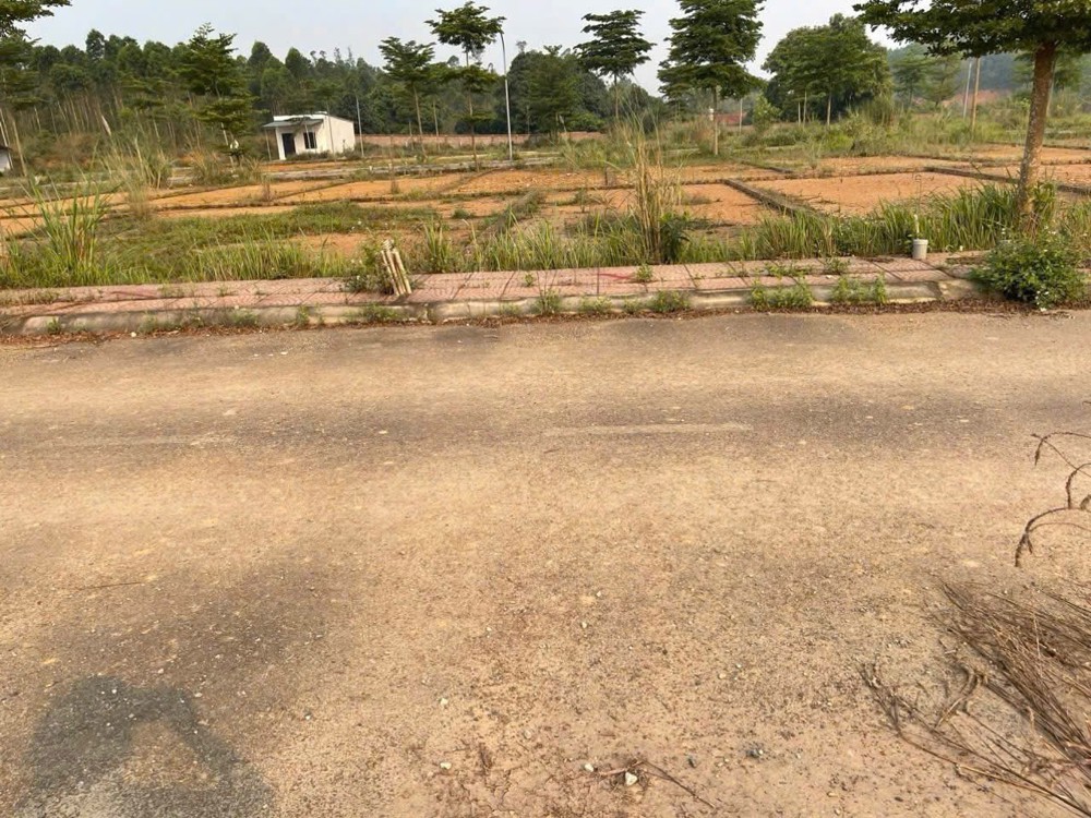 Đất Đẹp- Giá Tốt Chính Chủ Cần Bán Nhanh Lô Đất Tiềm Năng Tại Huyện Tam Nông, Phú Thọ