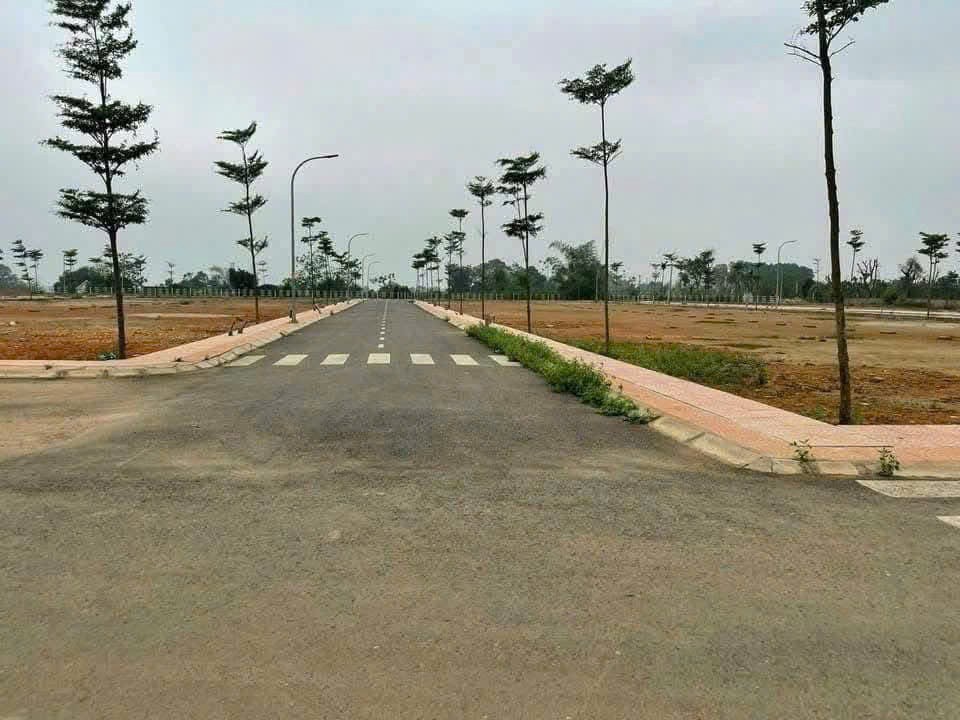 Đất Đẹp- Giá Tốt Chính Chủ Cần Bán Nhanh Lô Đất Tiềm Năng Tại Huyện Tam Nông, Phú Thọ