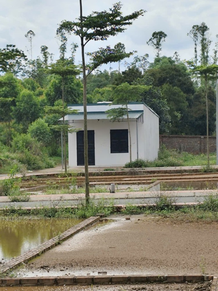 Đất Đẹp- Giá Tốt Chính Chủ Cần Bán Nhanh Lô Đất Tiềm Năng Tại Huyện Tam Nông, Phú Thọ