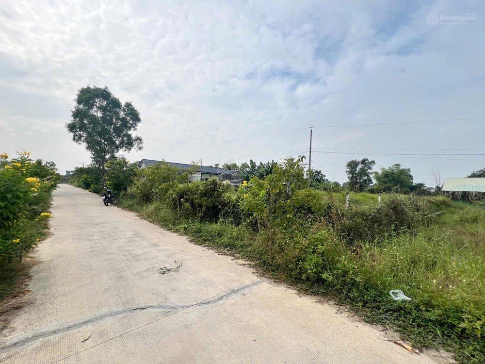 Chính Chủ Hạ Giá, Cần Bán Gấp Đất Đẹp Xã Đức Hoà Đông, Gần Đường 823D Mở Rộng Giá Cực Tốt