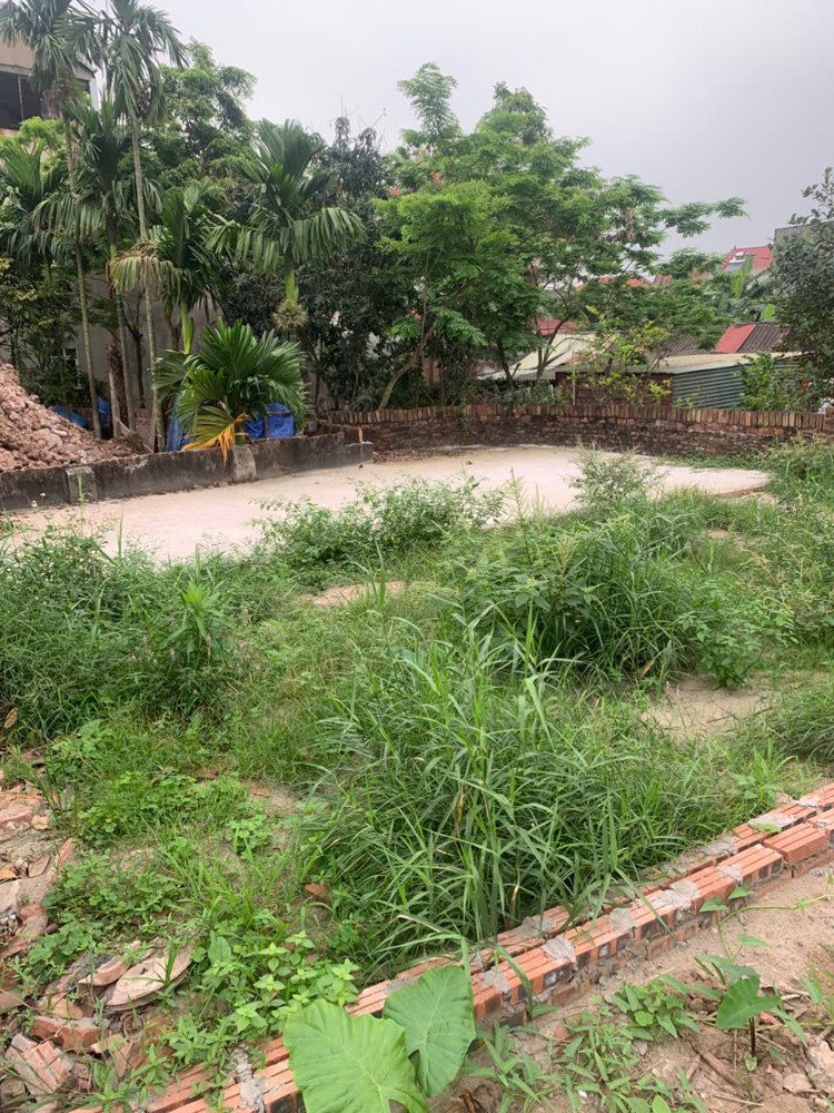 Bán Đất Đẹp Hàng F0 Đầu Tư Giữ Tiền Cực Tốt .60M, Nhỉnh 2 Tỷ Ô Tô Tải Vào Đất Cách Vin Ocean