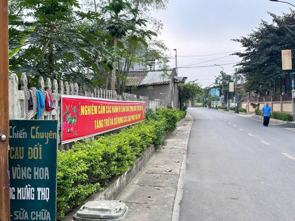 Bán Đất Tại Khu Phố Hàm Hạ, 1,4 Tỷ, 100M2, Mặt Tiền 12M Uy Tín