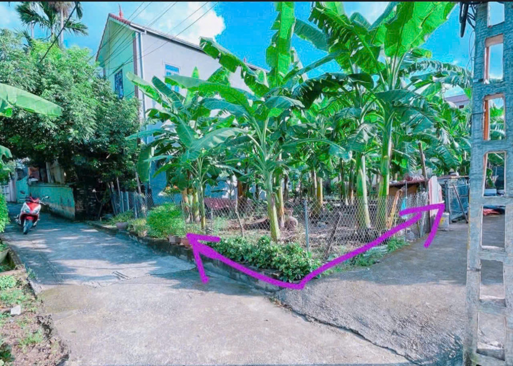 50M Lô Góc Đan Phượng . Hà Nội. Giá Đầu Tư